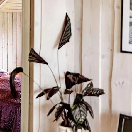 8 Person In Sydals-by Traum *